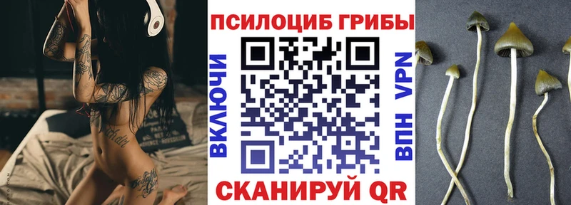 Псилоцибиновые грибы MAGIC MUSHROOMS  darknet как зайти  Бийск 